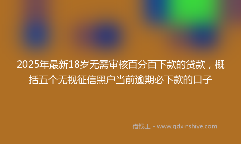 2025年最新18岁无需审核百分百下款的贷款，概括五个无视征信黑户当前逾期必下款的口子