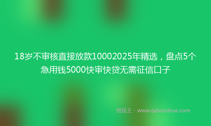 18岁不审核直接放款10002025年精选，盘点5个急用钱5000快审快贷无需征信口子