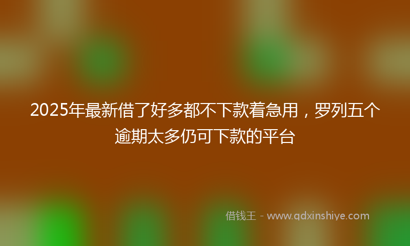 2025年最新借了好多都不下款着急用，罗列五个逾期太多仍可下款的平台