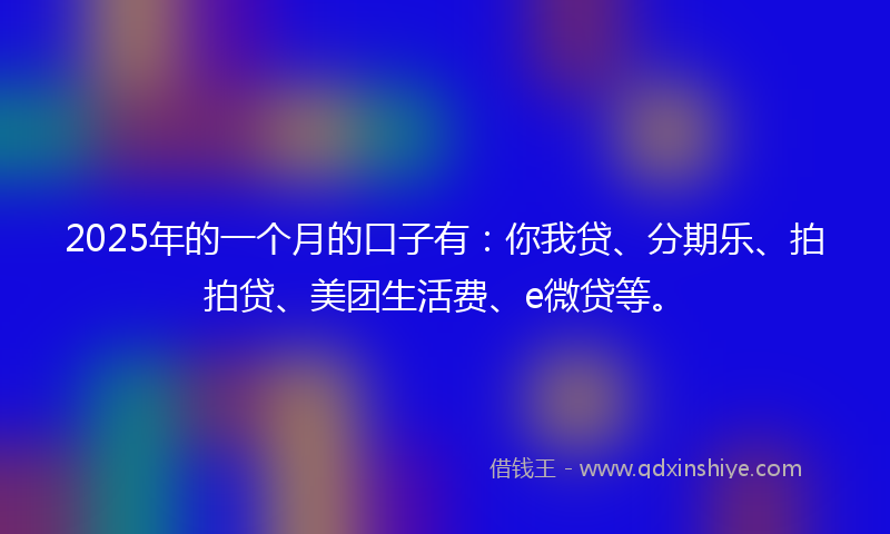 2025年的一个月的口子有：你我贷、分期乐、拍拍贷、美团生活费、e微贷等。