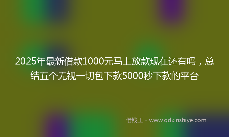 2025年最新借款1000元马上放款现在还有吗，总结五个无视一切包下款5000秒下款的平台