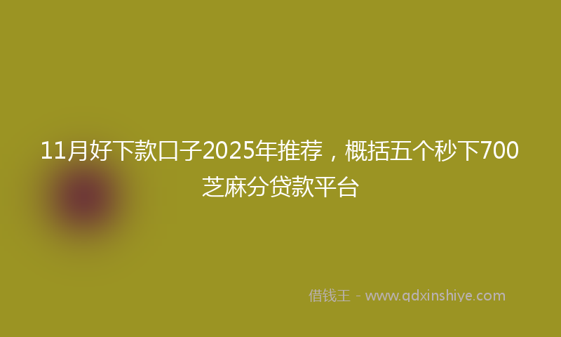 11月好下款口子2025年推荐，概括五个秒下700芝麻分贷款平台