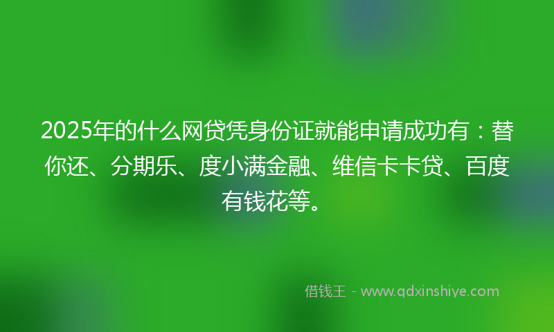 2025年的什么网贷凭身份证就能申请成功有：替你还、分期乐、度小满金融、维信卡卡贷、百度有钱花等。