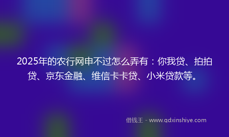 2025年的农行网申不过怎么弄有：你我贷、拍拍贷、京东金融、维信卡卡贷、小米贷款等。