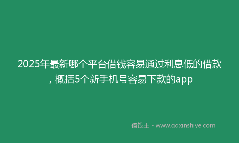 2025年最新哪个平台借钱容易通过利息低的借款，概括5个新手机号容易下款的app