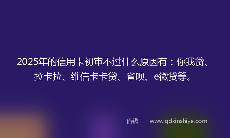 2025年的信用卡初审不过什么原因有：你我贷、拉卡拉、维信卡卡贷、省呗、e微贷等。