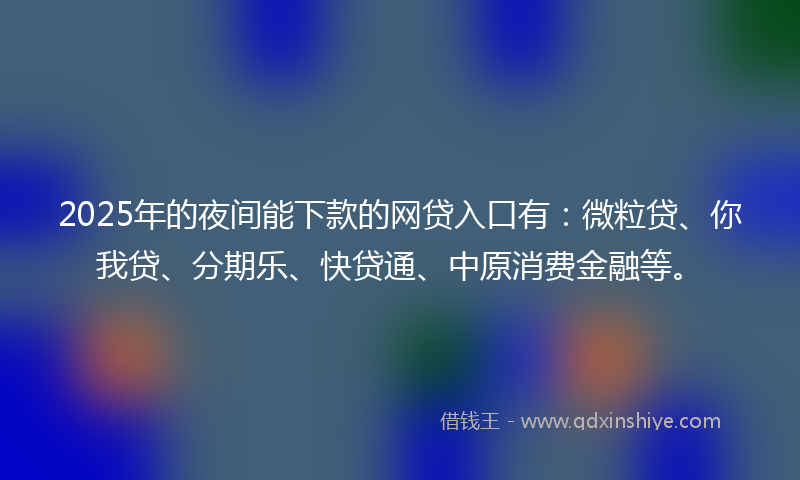 2025年的夜间能下款的网贷入口有：微粒贷、你我贷、分期乐、快贷通、中原消费金融等。