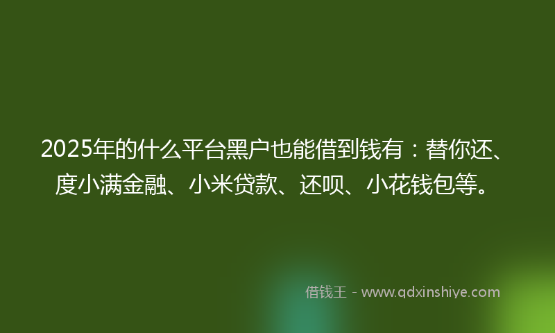 2025年的什么平台黑户也能借到钱有：替你还、度小满金融、小米贷款、还呗、小花钱包等。