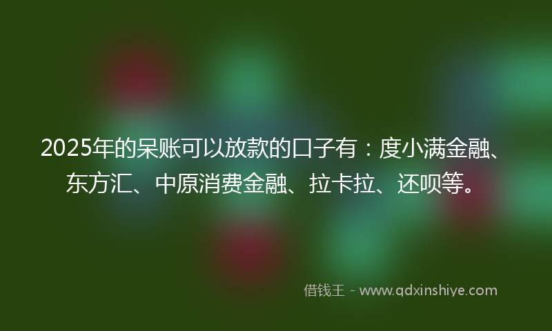 2025年的呆账可以放款的口子有：度小满金融、东方汇、中原消费金融、拉卡拉、还呗等。
