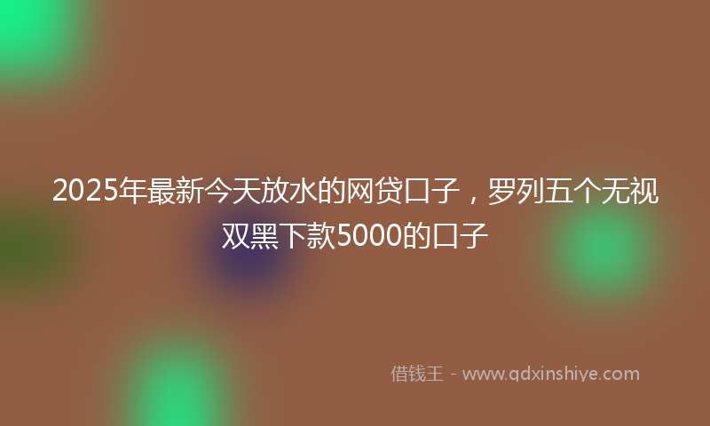 2025年最新今天放水的网贷口子，罗列五个无视双黑下款5000的口子
