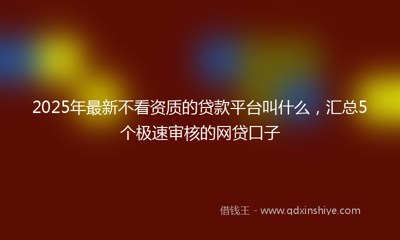 2025年最新不看资质的贷款平台叫什么，汇总5个极速审核的网贷口子