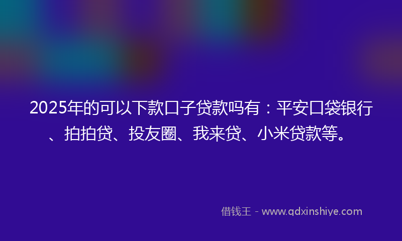 2025年的可以下款口子贷款吗有：平安口袋银行、拍拍贷、投友圈、我来贷、小米贷款等。