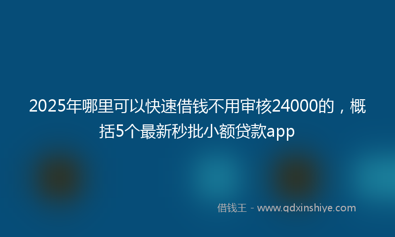 2025年哪里可以快速借钱不用审核24000的，概括5个最新秒批小额贷款app