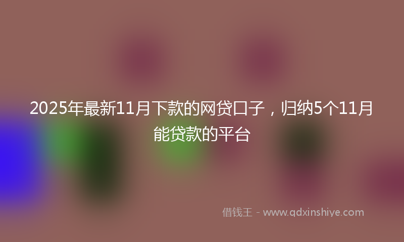 2025年最新11月下款的网贷口子，归纳5个11月能贷款的平台