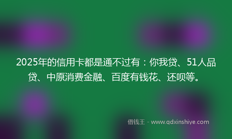2025年的信用卡都是通不过有：你我贷、51人品贷、中原消费金融、百度有钱花、还呗等。