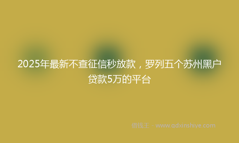 2025年最新不查征信秒放款，罗列五个苏州黑户贷款5万的平台