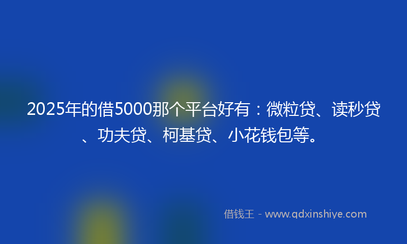 2025年的借5000那个平台好有：微粒贷、读秒贷、功夫贷、柯基贷、小花钱包等。