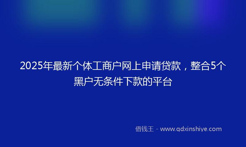 2025年最新个体工商户网上申请贷款，整合5个黑户无条件下款的平台
