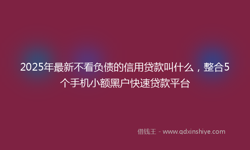 2025年最新不看负债的信用贷款叫什么，整合5个手机小额黑户快速贷款平台