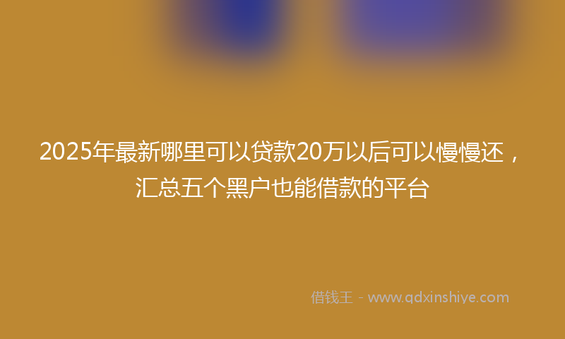2025年最新哪里可以贷款20万以后可以慢慢还，汇总五个黑户也能借款的平台