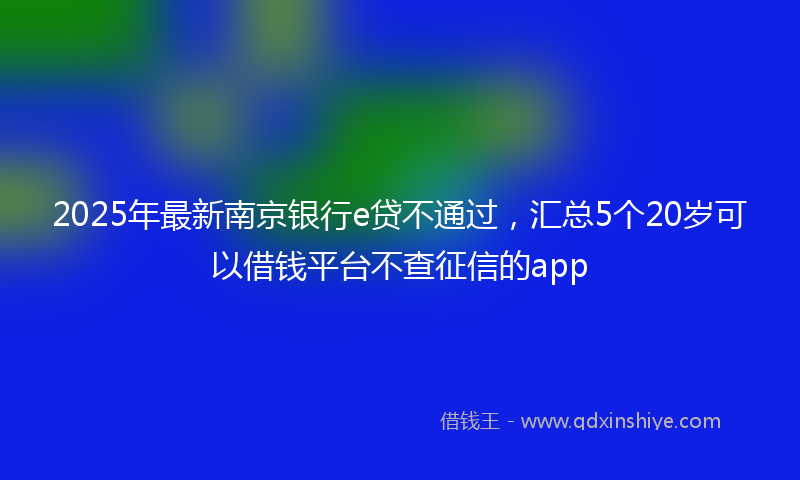 2025年最新南京银行e贷不通过，汇总5个20岁可以借钱平台不查征信的app