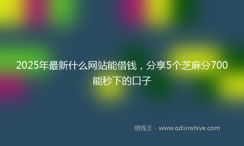 2025年最新什么网站能借钱，分享5个芝麻分700能秒下的口子