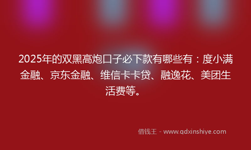 2025年的双黑高炮口子必下款有哪些有：度小满金融、京东金融、维信卡卡贷、融逸花、美团生活费等。