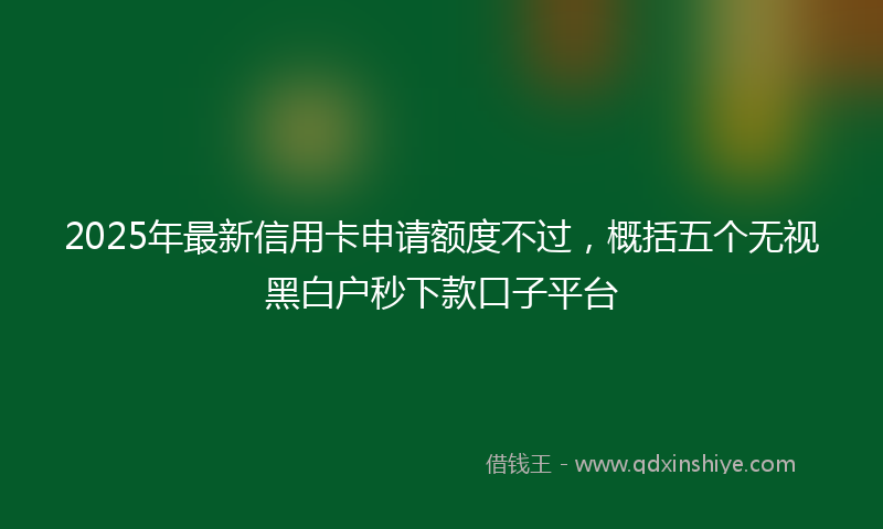 2025年最新信用卡申请额度不过，概括五个无视黑白户秒下款口子平台
