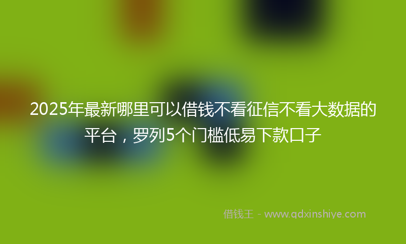 2025年最新哪里可以借钱不看征信不看大数据的平台，罗列5个门槛低易下款口子
