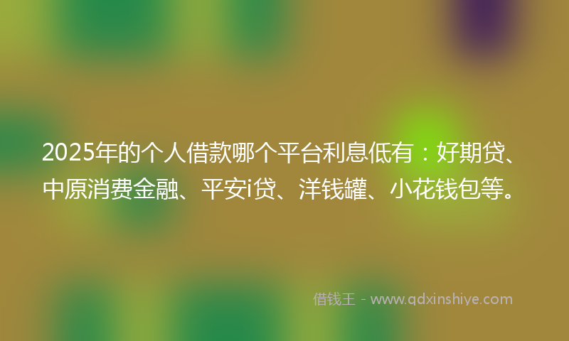 2025年的个人借款哪个平台利息低有：好期贷、中原消费金融、平安i贷、洋钱罐、小花钱包等。