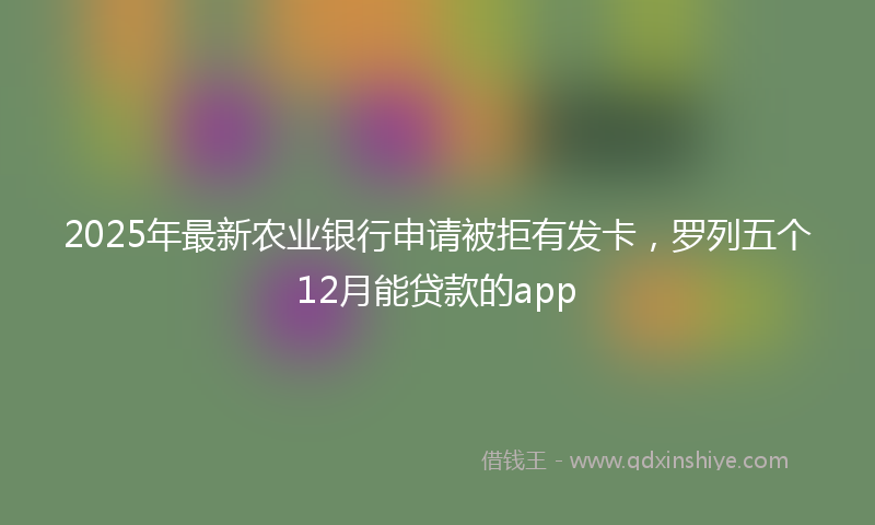 2025年最新农业银行申请被拒有发卡，罗列五个12月能贷款的app
