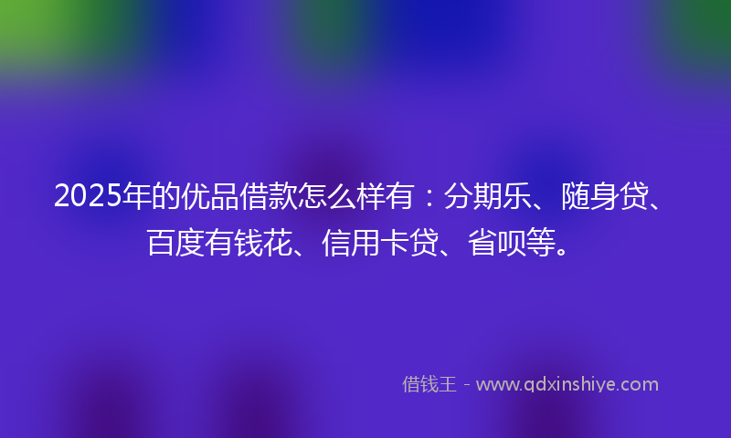 2025年的优品借款怎么样有：分期乐、随身贷、百度有钱花、信用卡贷、省呗等。