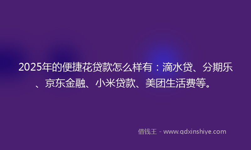 2025年的便捷花贷款怎么样有：滴水贷、分期乐、京东金融、小米贷款、美团生活费等。