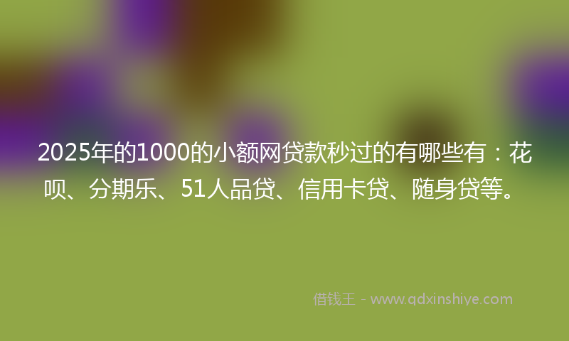 2025年的1000的小额网贷款秒过的有哪些有：花呗、分期乐、51人品贷、信用卡贷、随身贷等。