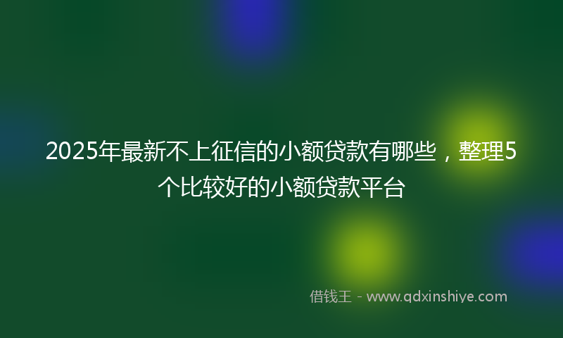 2025年最新不上征信的小额贷款有哪些，整理5个比较好的小额贷款平台