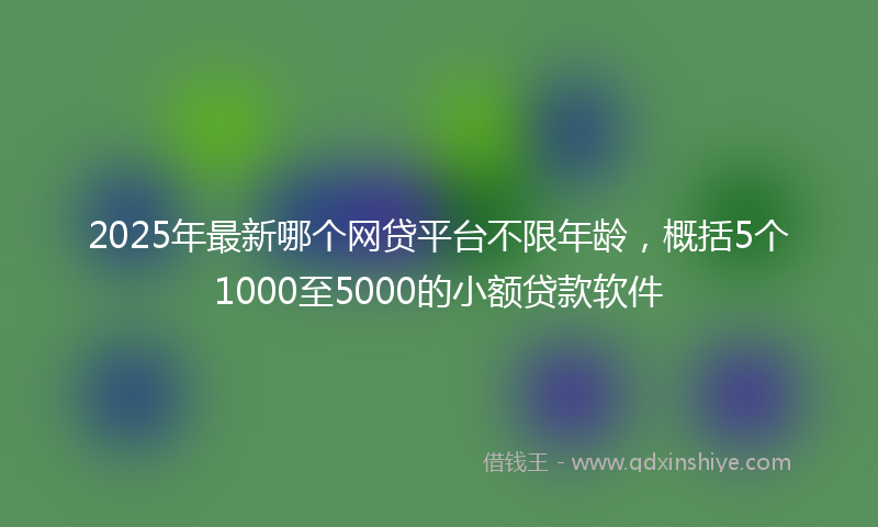 2025年最新哪个网贷平台不限年龄，概括5个1000至5000的小额贷款软件