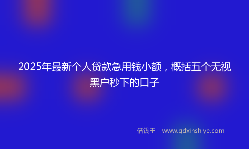 2025年最新个人贷款急用钱小额，概括五个无视黑户秒下的口子