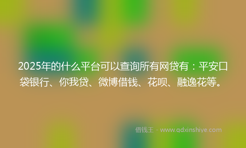 2025年的什么平台可以查询所有网贷有：平安口袋银行、你我贷、微博借钱、花呗、融逸花等。