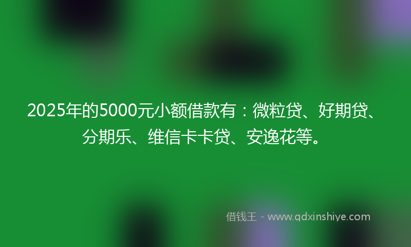2025年的5000元小额借款有：微粒贷、好期贷、分期乐、维信卡卡贷、安逸花等。