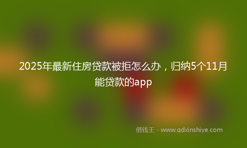 2025年最新住房贷款被拒怎么办，归纳5个11月能贷款的app