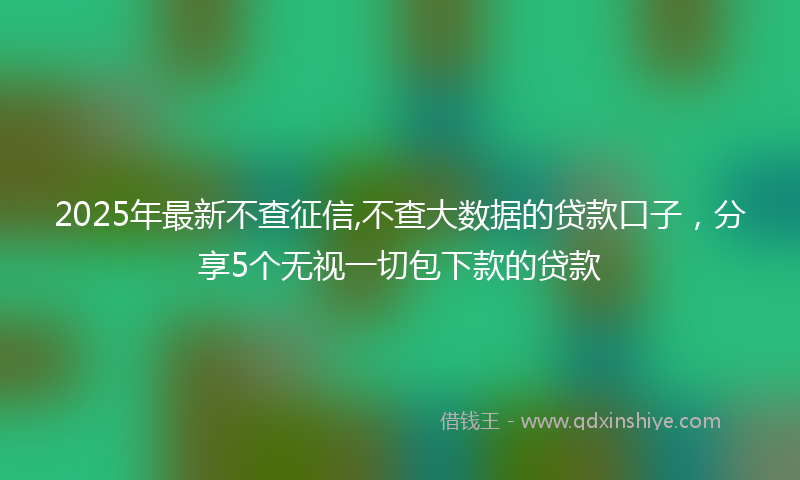 2025年最新不查征信,不查大数据的贷款口子，分享5个无视一切包下款的贷款