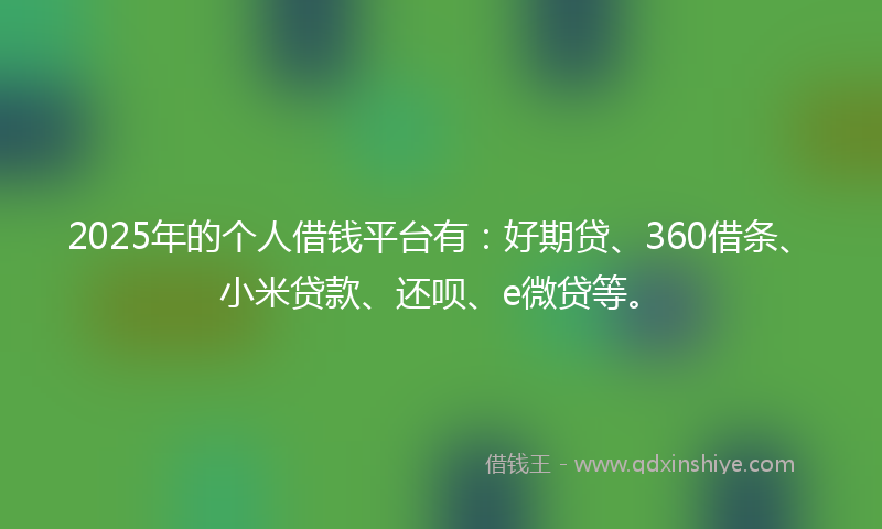 2025年的个人借钱平台有：好期贷、360借条、小米贷款、还呗、e微贷等。