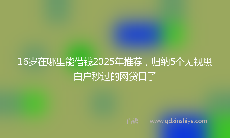 16岁在哪里能借钱2025年推荐，归纳5个无视黑白户秒过的网贷口子