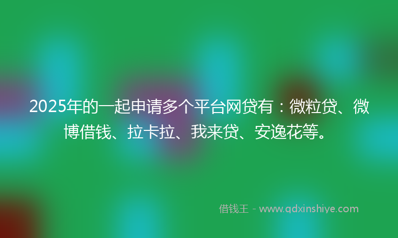 2025年的一起申请多个平台网贷有：微粒贷、微博借钱、拉卡拉、我来贷、安逸花等。