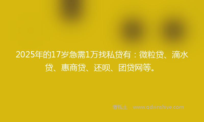 2025年的17岁急需1万找私贷有：微粒贷、滴水贷、惠商贷、还呗、团贷网等。