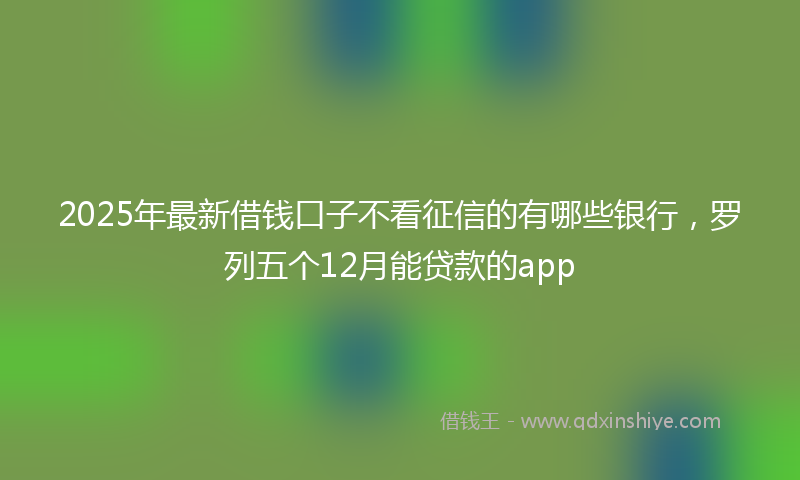 2025年最新借钱口子不看征信的有哪些银行，罗列五个12月能贷款的app