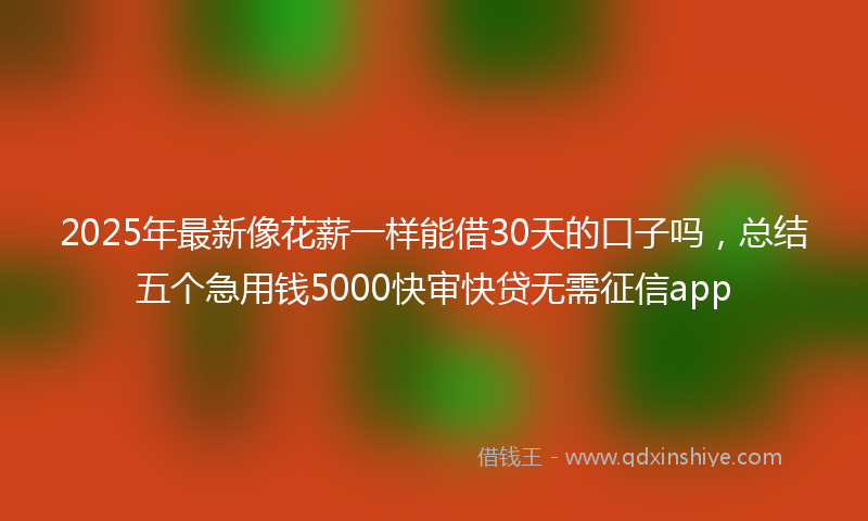 2025年最新像花薪一样能借30天的口子吗，总结五个急用钱5000快审快贷无需征信app