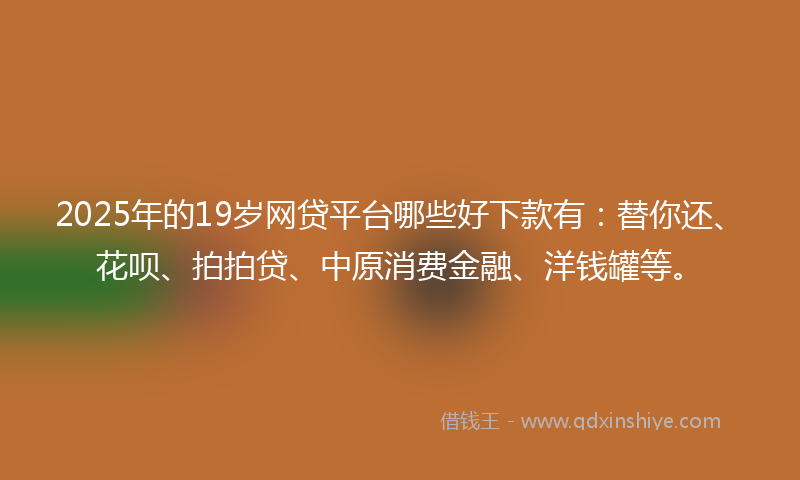 2025年的19岁网贷平台哪些好下款有：替你还、花呗、拍拍贷、中原消费金融、洋钱罐等。