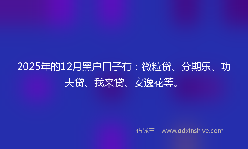 2025年的12月黑户口子有：微粒贷、分期乐、功夫贷、我来贷、安逸花等。