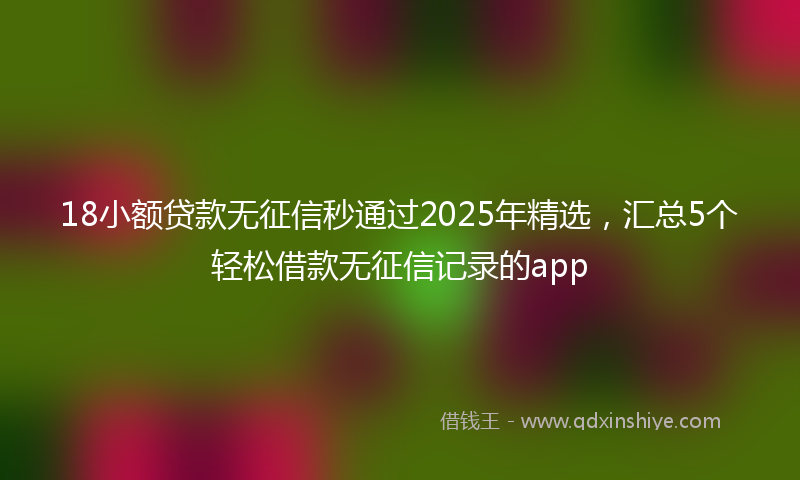 18小额贷款无征信秒通过2025年精选，汇总5个轻松借款无征信记录的app